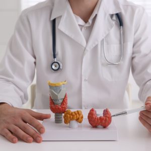 Salud intestinal en personas con hipotiroidismo