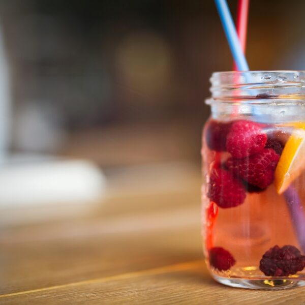 121. Probióticos un antioxidante natural