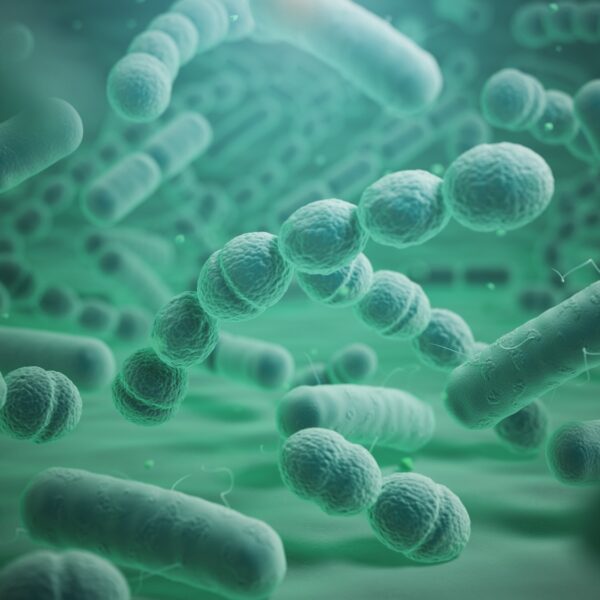 148. De qué se alimentan las bacterias que están en nuestros intestinos