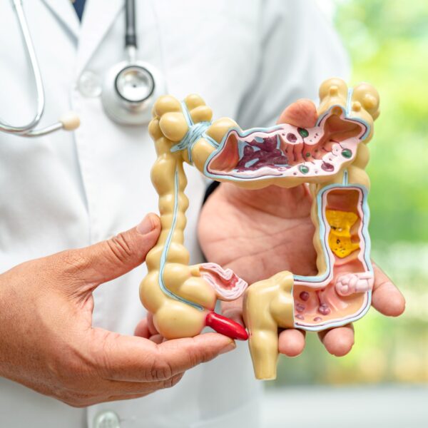 15. El funcionamiento de los intestinos (003