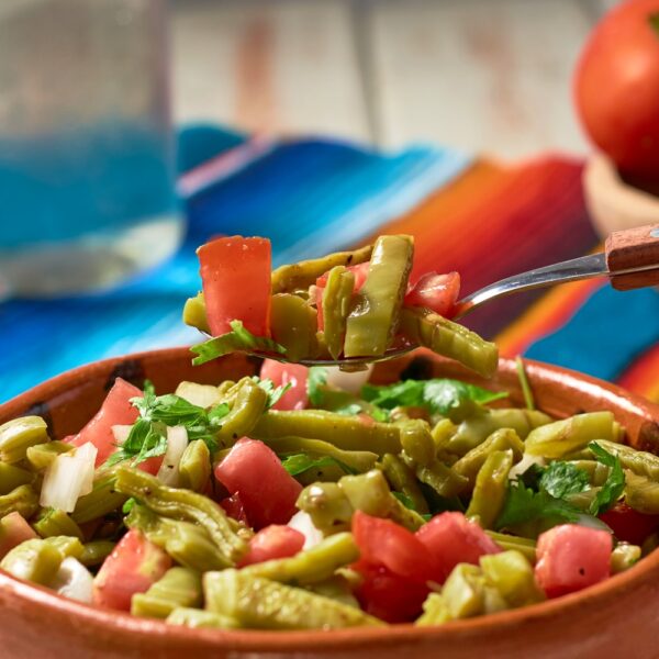 158. Beneficios de los nopales