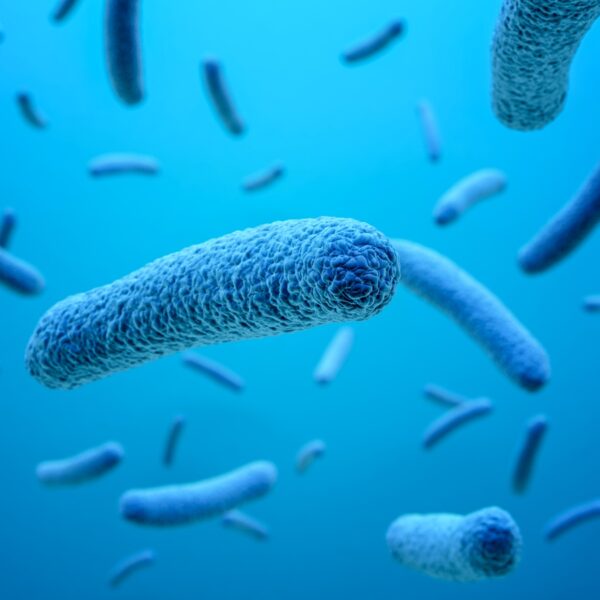 34. Lactobacillus casei Shirota que ayudan a tu digestión